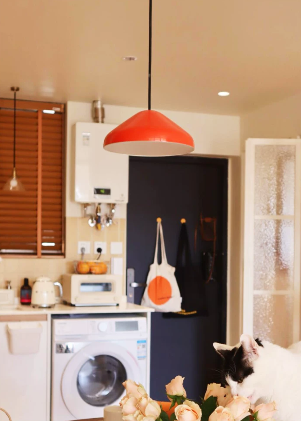 Pendant Lamp 1